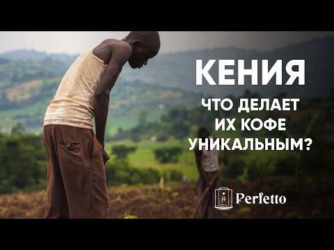 Видео: Уникальность кофе из Кении. Почему он такой необычный? И в целом о кофе еще немного...