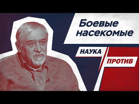 Видео: Энтомолог против мифов о насекомых как оружии // Наука против