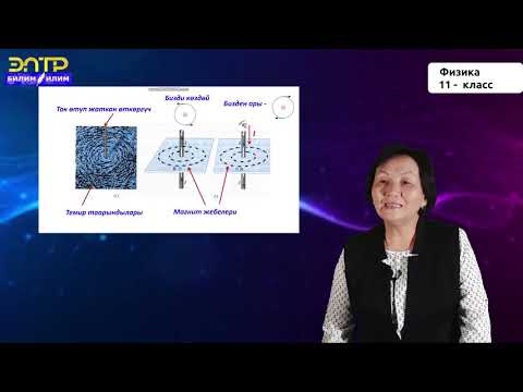 Видео: 11-класс | Физика |  Турактуу токтун магнит талаасы