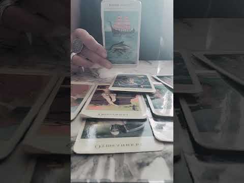 Видео: Следиш ме ....но, мълчиш ❓️👿❣️