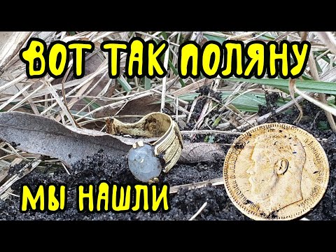 Видео: Золотой перстень рубли ,вот так поле мы нашли