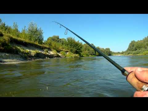 Видео: У выходные нечего там делать. Рыбалка на голавля. Река Сейм