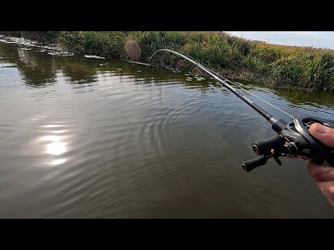 Видео: Lucky Craft Malas на мелководье вынуждает щук атаковать приманку. Рыбалка на щуку в бесклевье