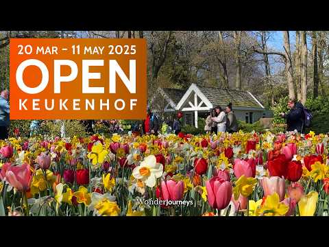 Видео: Keukenhof 2025 ОТКРЫТ 🌷20 марта - 11 мая [4K]