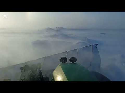 Видео: вот и наступили холода