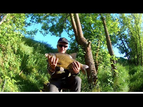 Видео: Рибалка на р Псел #Лящі клюють як лопати#