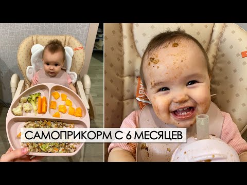 Видео: самоприкорм | кусочки с 6 месяцев | мой опыт введения прикорма