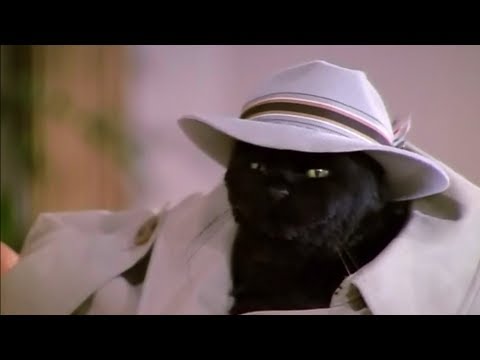 Видео: Кот Сэйлем - лучшее. Часть 4 (Сабрина - маленькая ведьма)