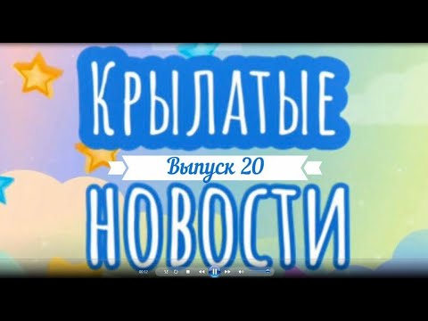 Видео: Крылатые новости~20 Выпуск~