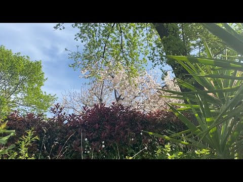 Видео: Развод…