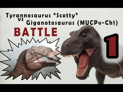 Видео: Тираннозавр и Гиганотозавр лепка / Tyrannosaurus Scotty vs Giganotosaurus modeling of polymer clay