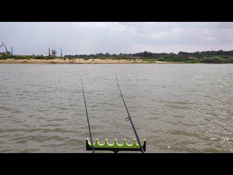 Видео: Поймал двух амурчиков на фидер. Рыбалка для начинающих летом!