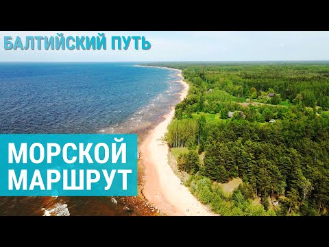 Видео: Таллинн сегодня: бесплатный транспорт, обновленные хрущевки и старое шоссе | БАЛТИЙСКИЙ ПУТЬ