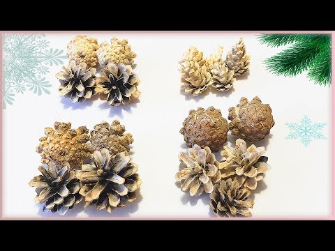 Видео: Отбеливание шишек 4 способами - 4 разных результата / Как отбелить шишки