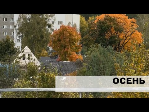Видео: Осень в Светлогорске