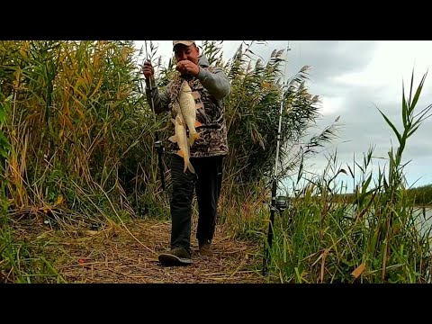 Видео: Рыбалка река Или. Протока Ир