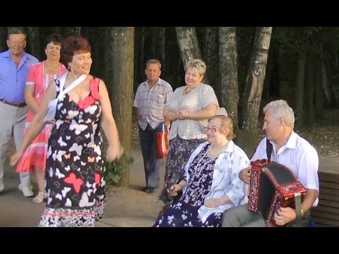 Видео: гармонисты в Измайловском парке (Москва)