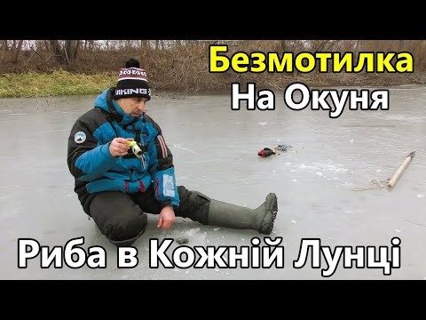Видео: Риба в Кожній Лунці. Зимова Риболовля на Окуня