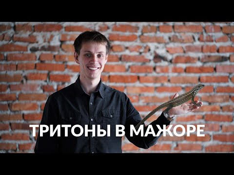 Видео: Сольфеджио онлайн: Тритоны в мажоре