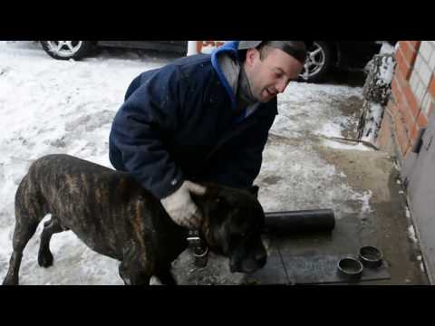 Видео: УАЗ Патриот!!!! Лифт задней подвески. Пружины от оки)))