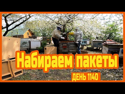 Видео: Пчелы, пакеты и ночёвка в глуши — день 1140.