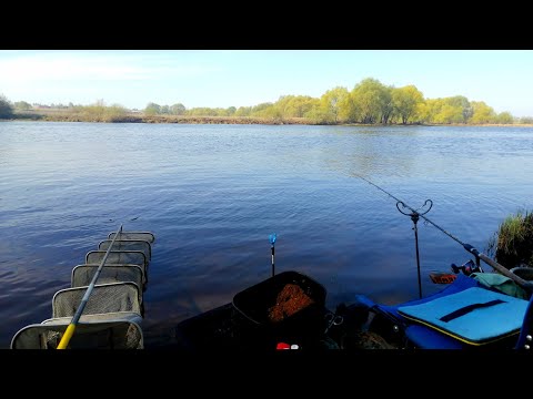 Видео: Рыбалка на Москва реке.