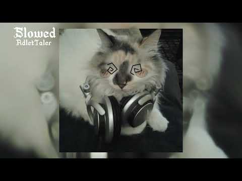 Видео: ПОЛМАТЕРИ - типичная реперская песня / slowed /