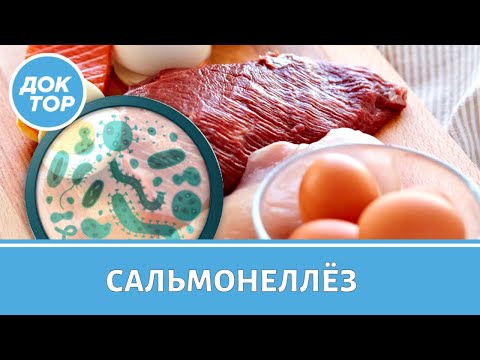 Видео: Врач-инфекционист рассказал, как защититься от сальмонеллеза
