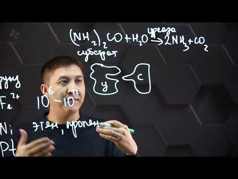 Видео: Ферменттердің маңызы мен қолданылуы. 11 сынып.