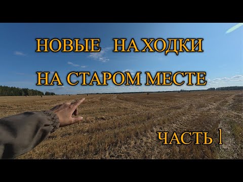 Видео: За новыми находками на старое место  Часть 1 Первые трофеи