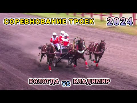 Видео: Заезд троек на приз памяти Ползуновой А.М. - Вологда vs Владимир