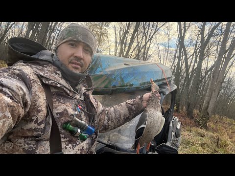 Видео: Охота на новом месте 