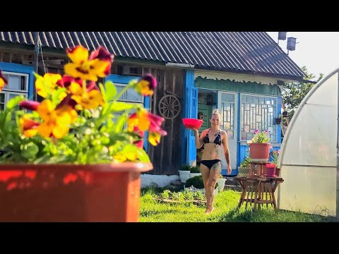 Видео: ВЁСКА. НАШЛИ себя , ЛЮБОВЬ и счастье В ГЛУШИ?! Вот почему мы выбрали ЖИЗНЬ В ДЕРЕВНЕ!?