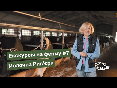 Видео: Екскурсія на ферму. #7 ферма «Молочна Рив'єра»