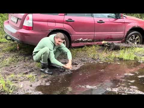 Видео: Собирался за грибами , но у меня Субару!