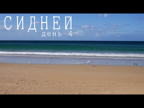 Видео: Сидней - день 4: пляж Мэнли (Manly Beach) и Оперный Театр Сиднея (Sydney Opera House)