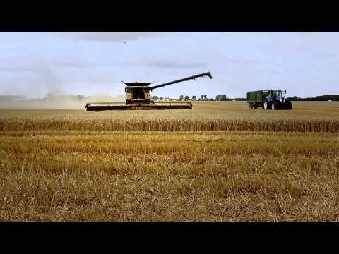 Видео: Рекорд Гиннесса. Зерноуборочный комбайн New Holland CR10.90