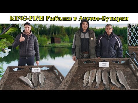 Видео: Форелевая рыбалка на платнике в подмосковье - KING-FISH Аксено-Бутырки