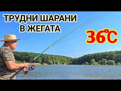 Видео: Риболов на предела на човешките възможности! Адска жега и вода като чай!