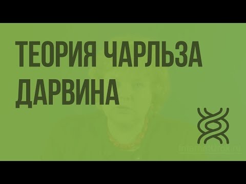 Видео: Основные положения эволюционной теории Чарльза Дарвина. Видеоурок по биологии 9 класс