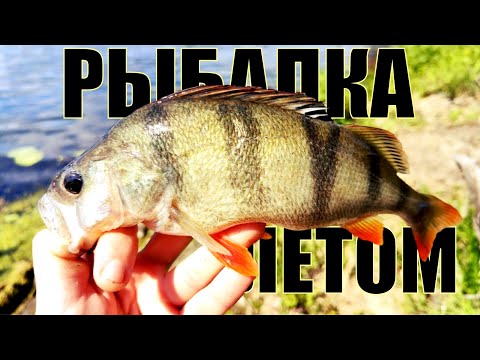 Видео: РЫБАЛКА на СПИННИНГ TELETEN 125 - УДАЛАСЬ на СЛАВУ!