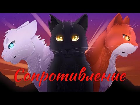 Видео: ЗАКАЗ Коты Воители Гром, Серое Крыло и Чистое Небо: Сопротивление [Skillet cover]