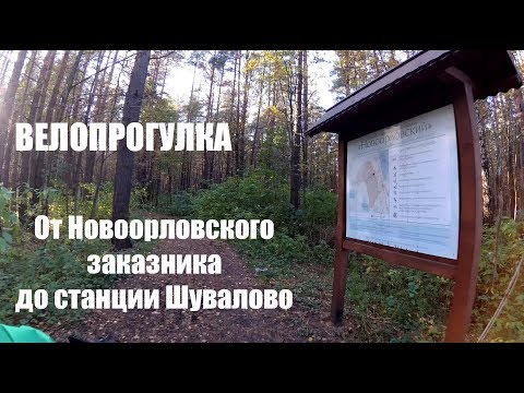Видео: Велопрогулка: от Новоорловского заказника до станции Шувалово / Xiaomi Yi 4K / Zhiyun Rider-M