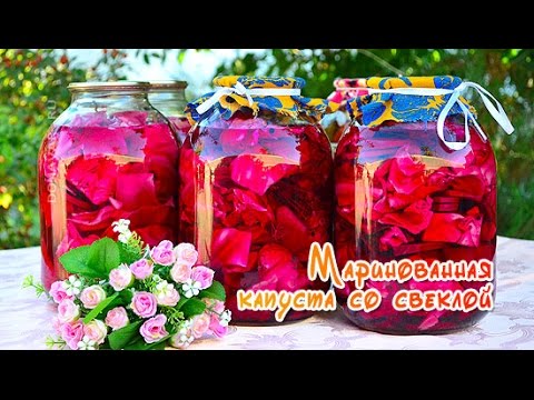 Видео: Маринованная капуста со свеклой на зиму