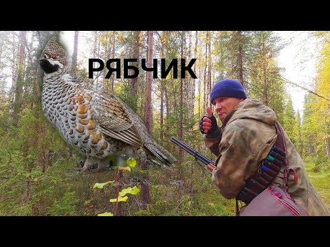 Видео: Красивая ОХОТА НА РЯБЧИКА С МАНКОМ! КАК ЭТО БЫВАЕТ??? ПОЕХАЛ ЗА БОРОВОЙ ПТИЦЕЙ НА ЛОДКЕ. ТАЙГА КОМИ