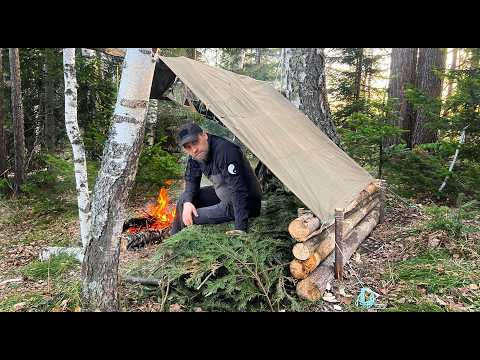 Видео: Один в Диком Лесу: Построил Убежище для Выживания, Ночую без Спального Мешка.