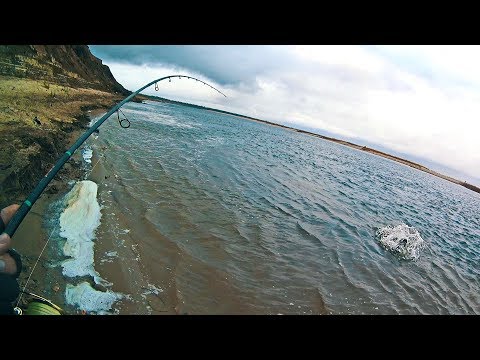 Видео: НЕ ЖДАЛ Я ПОКЛЁВКИ ТАКОЙ ЗВЕРЮГИ! Побродил со спиннингом до самого темна