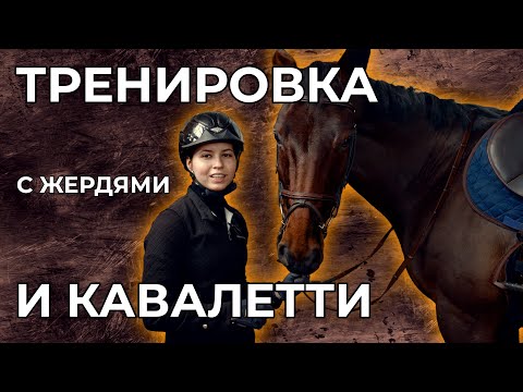 Видео: Конкурная тренировка с использованием жердей и кавалетти