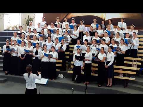 Видео: Словно плач журавлиный.(женский хор)г.Курганинск