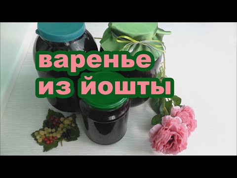 Видео: Варенье из йошты. Полезный гибрид крыжовника и чёрной смородины